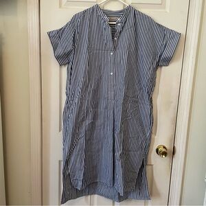 Everlane Striped Shirtdress